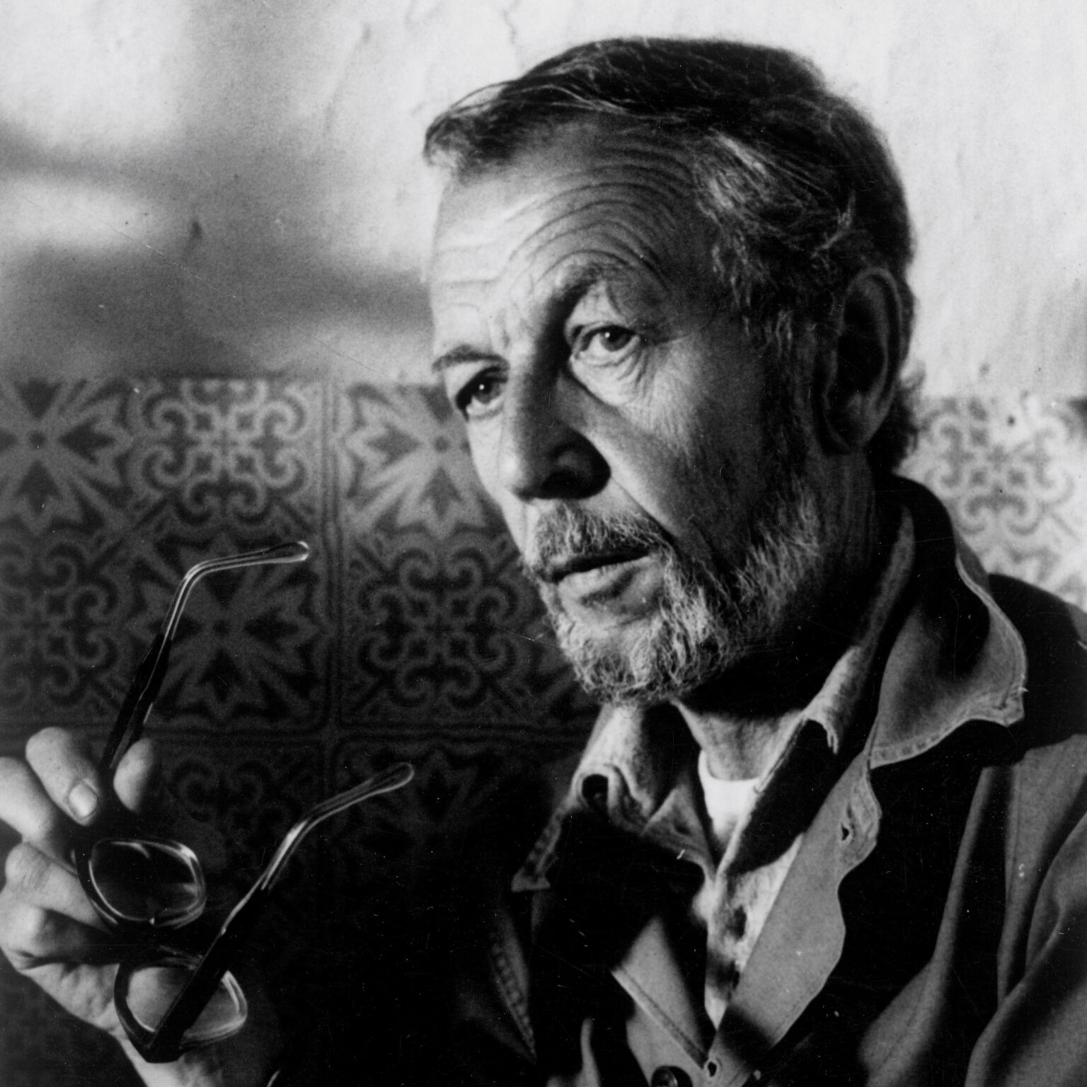 Frantisek Vlacil_director